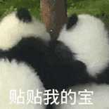 动图封面
