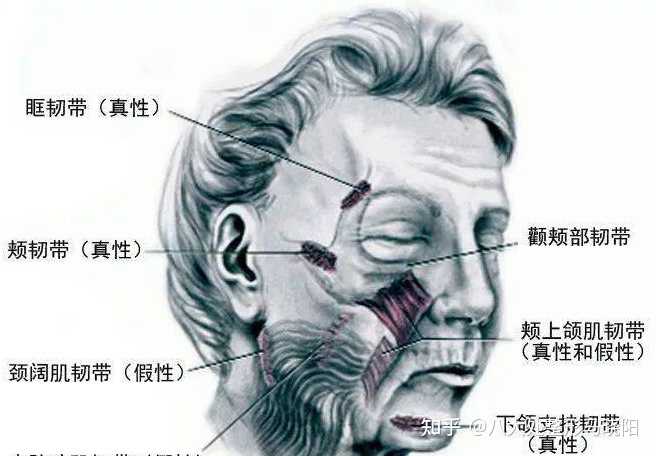 颧骨高导致面颊凹陷，应该怎么办？ - 知乎