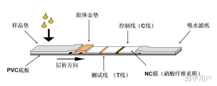 hiv试纸测试准确吗?如何使用? - 知乎