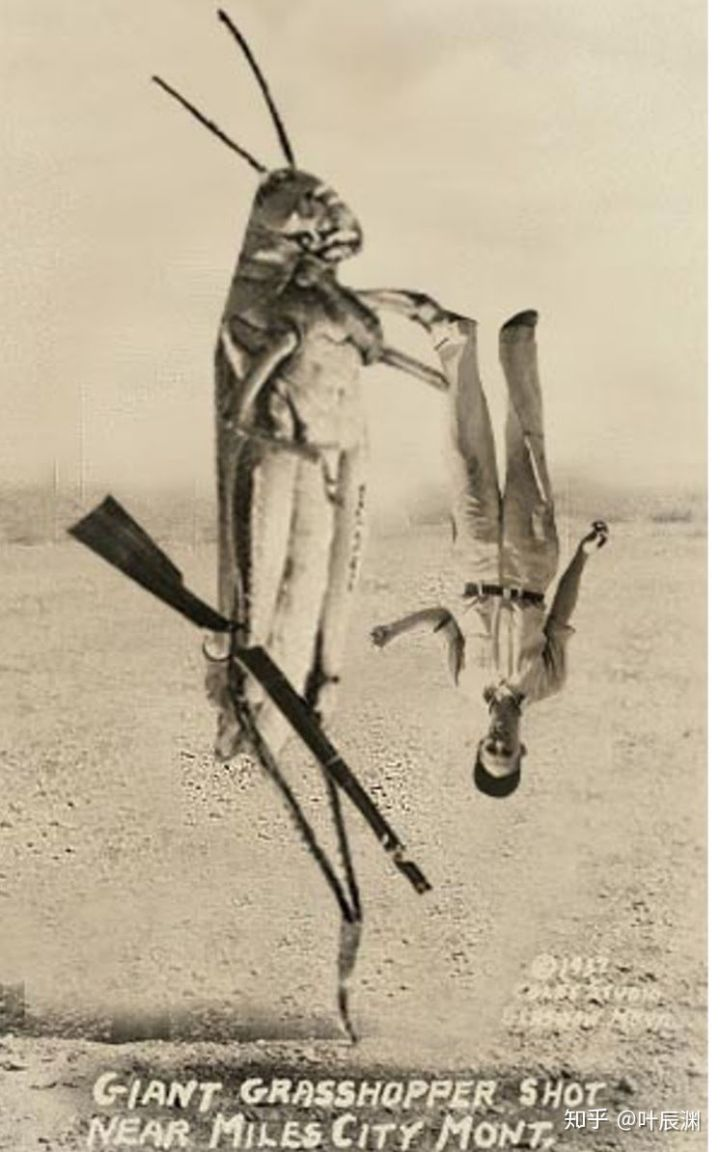 有哪些曾经的世界未解之谜被证明是骗局？ - 知乎