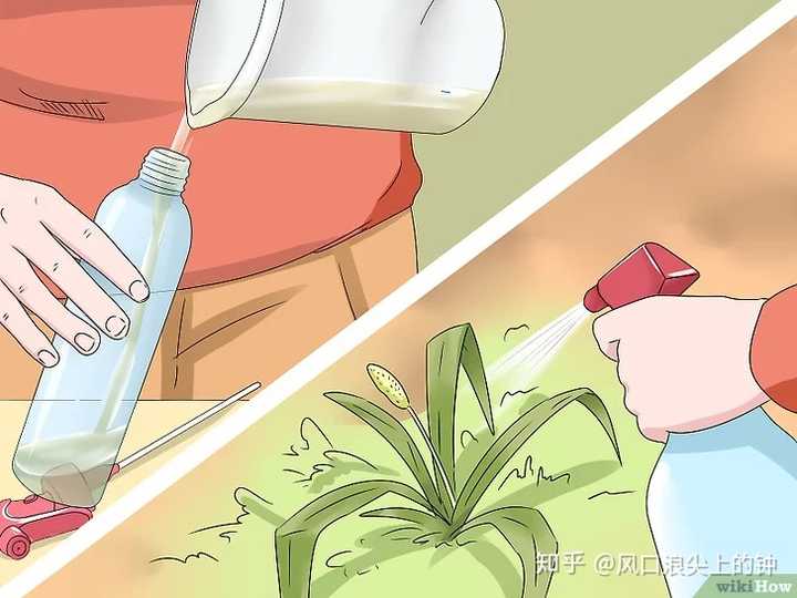 除草剂调配方法_除草剂配方_除草剂配药方法