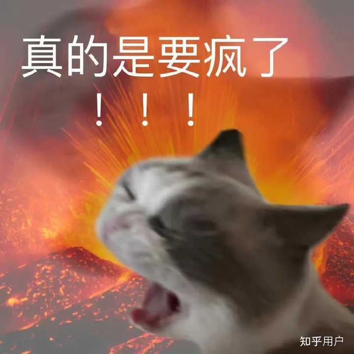有哪些打工人发疯文学语录? - 知乎