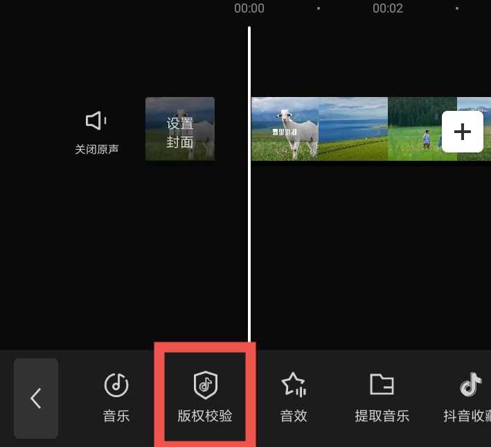 抖音婚礼bgm_抖音很火的婚礼歌曲纯音乐_婚礼视频素材抖音