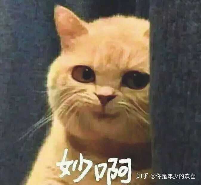 有没有特别逗的傻叼表情包? - 知乎