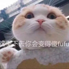 馒头包子