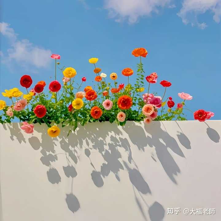 所谓的充实感是一种怎样的感觉? - 知乎