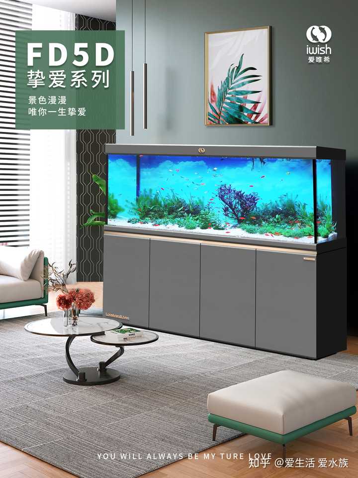 海缸选购有哪些小技巧? - 知乎