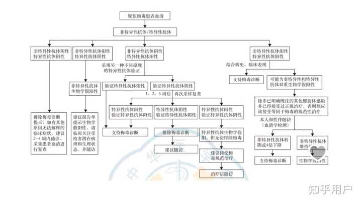 和嘴唇有泡的(有可能会出血的)梅毒患者接吻(深吻)会被感染吗? - 知乎