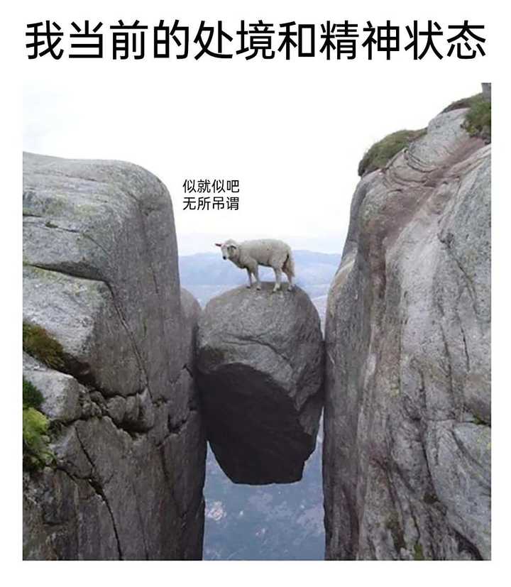 你看过的最有意思的meme、梗图有哪些? - 知乎