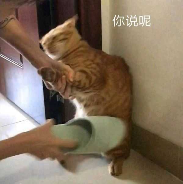 图片[7]-你能讲一个让人瞬间爆笑的笑话吗？-潘金友博客
