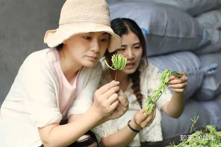 拥有百万粉丝的摄影博主“良田田田”的人像摄影技术如何? - 知乎