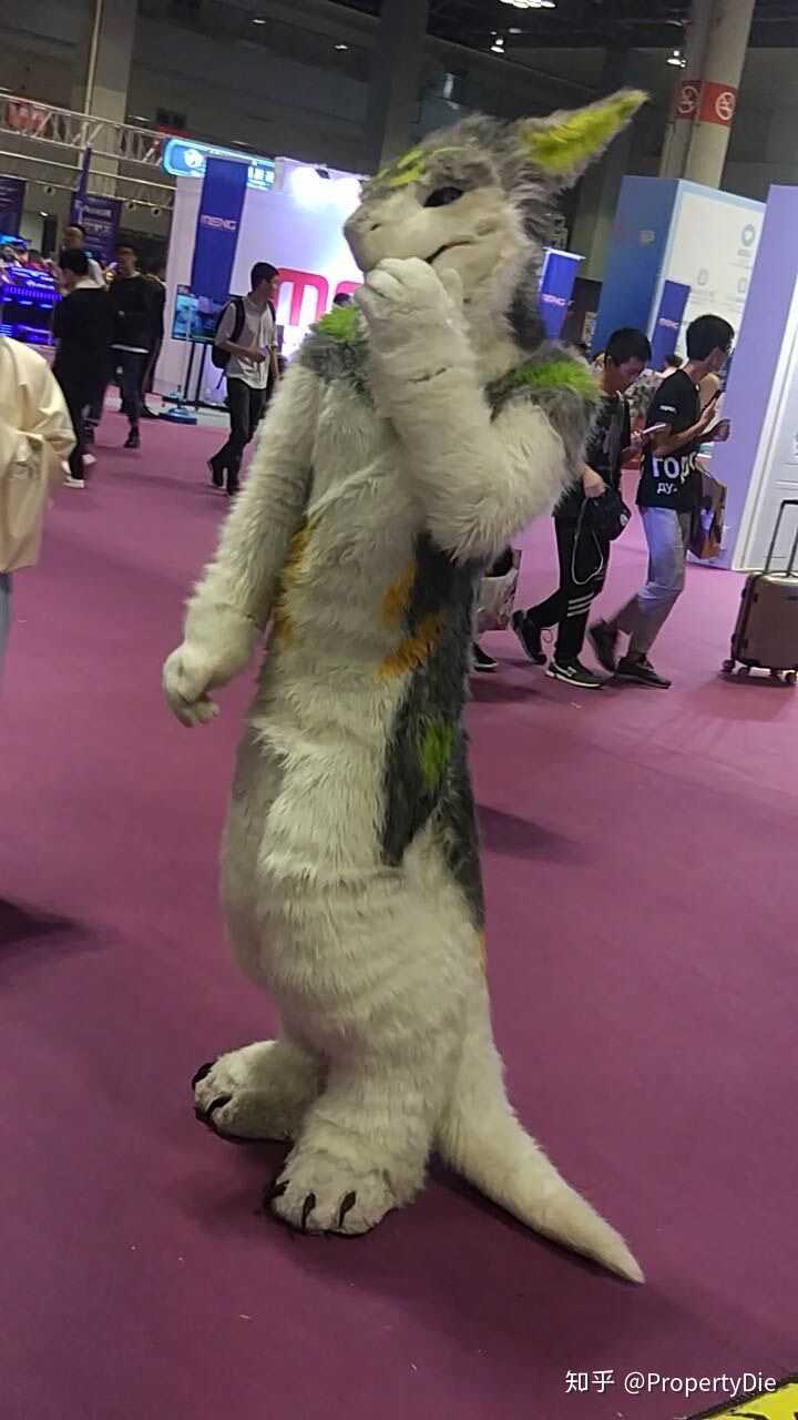 兽迷furry创造了哪些奇特的兽设物种? - 知乎