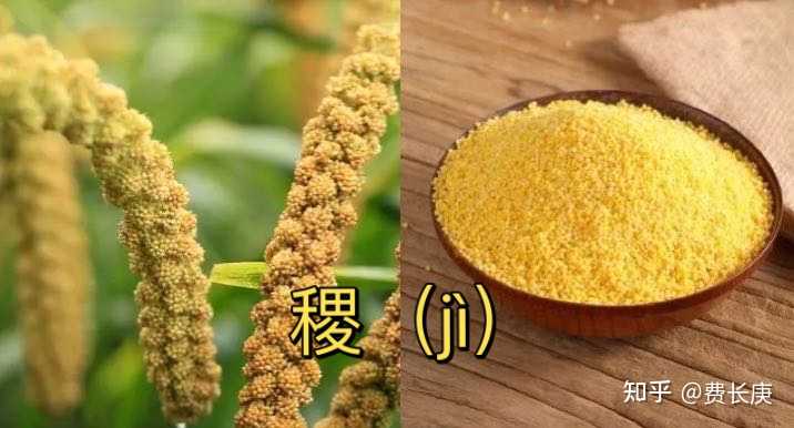 五谷是指哪些谷物? - 知乎