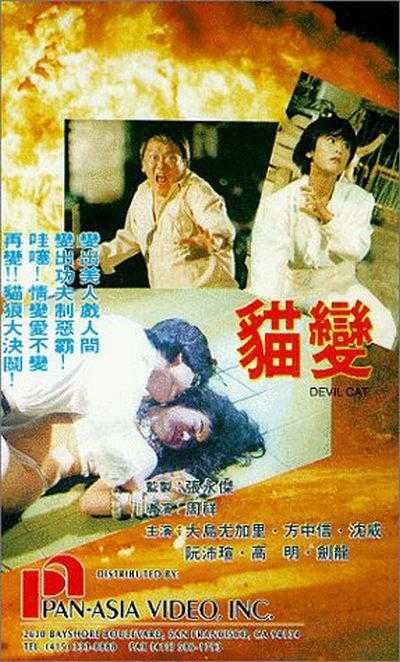 跨物种的追求,狼妖爱上猫妖,根本甩不掉,香港恐怖电影《猫变》鬼哥说