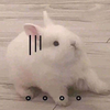 泉水泉水