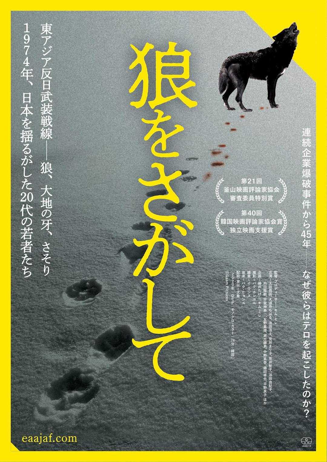 狼