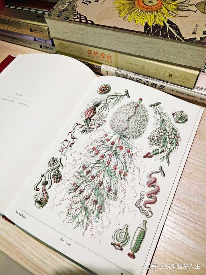 你见过最震撼的自然景观是什么? - 知乎
