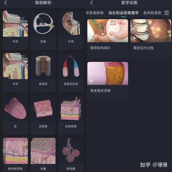 有什么适合医学人体解剖的软件？ - 知乎