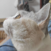 q闲云p
