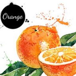 橙皮橘子