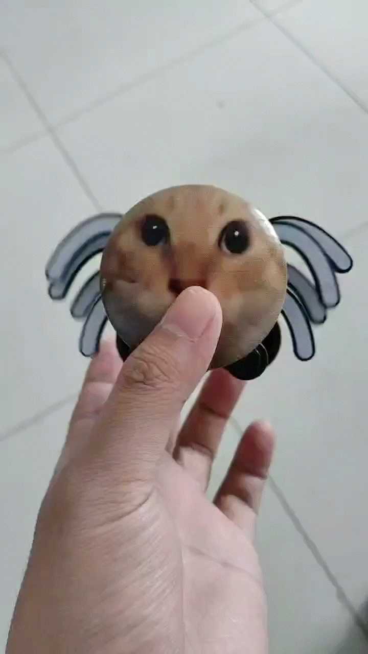 动图封面