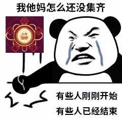 求一个熊猫人气愤捶桌子的表情包? - 知乎