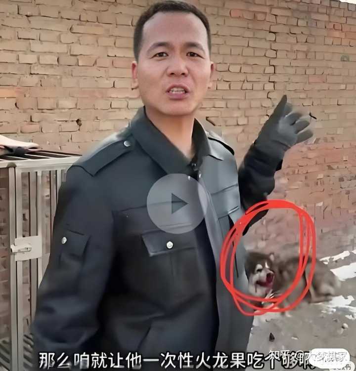 千万粉丝网红「潘宏爱玩狗」账号内容清空,下架所有视频,社会上对此有何反应? - 知乎