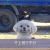 让我再吃一口吧
