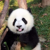 天心月明