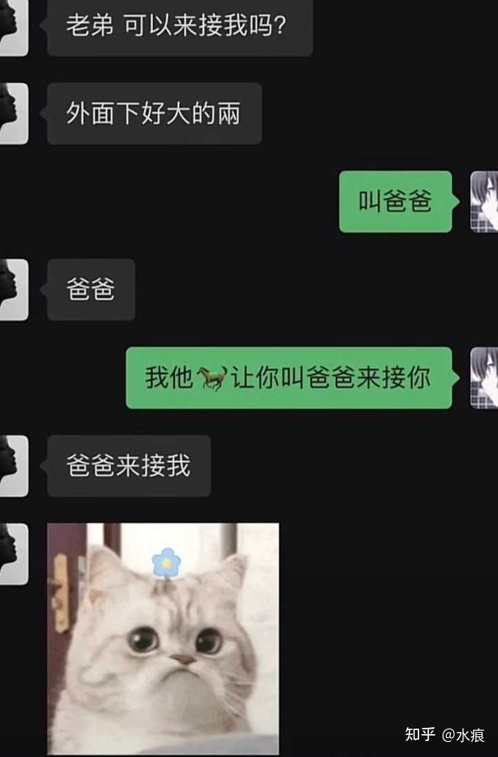 你有哪些超级搞笑的图片？ - 知乎