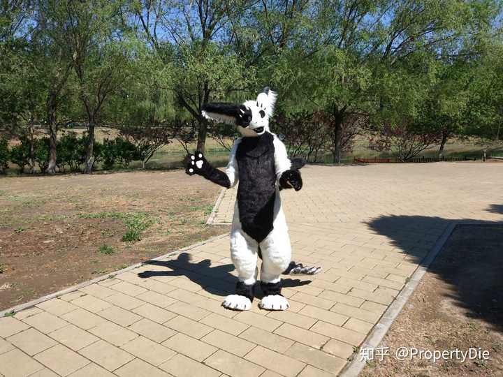 兽迷furry创造了哪些奇特的兽设物种? - 知乎