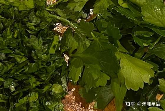 欧芹的正确用法是什么? - 知乎
