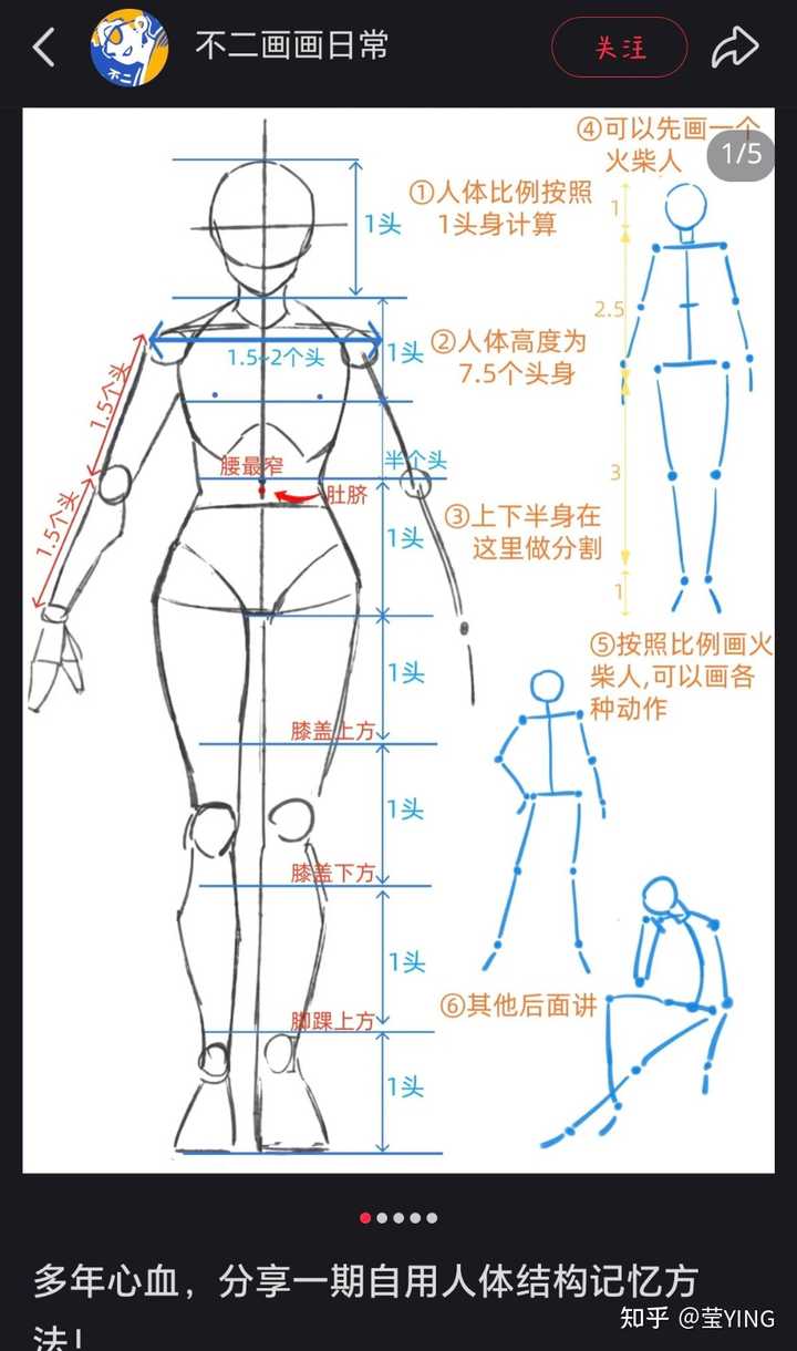 零基础想学画动漫人物,身体要如何画? - 知乎