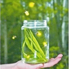 Firefly