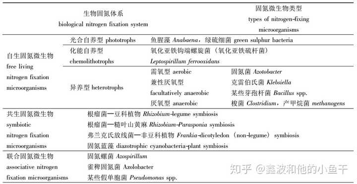 根瘤菌是如何帮植物固定氮气的? - 知乎