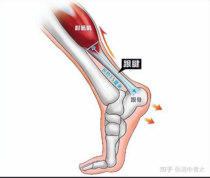 肩周炎通过锻炼会自愈吗？ - 知乎