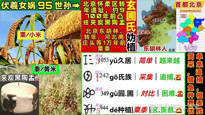 粟、稻、黍等农作物的起源于哪里?先祖们是如何驯化栽培的? - 知乎