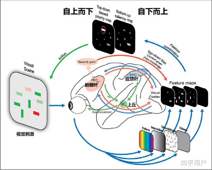 人的意识究竟是怎么产生的？ - 知乎