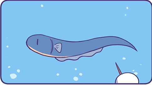 问大家一个问题,一只电鳗会被它的同类电死吗? - 知乎