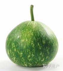 古人所说的「匏」「瓠」「壶芦」有什么区别? - 知乎