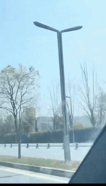 动图封面