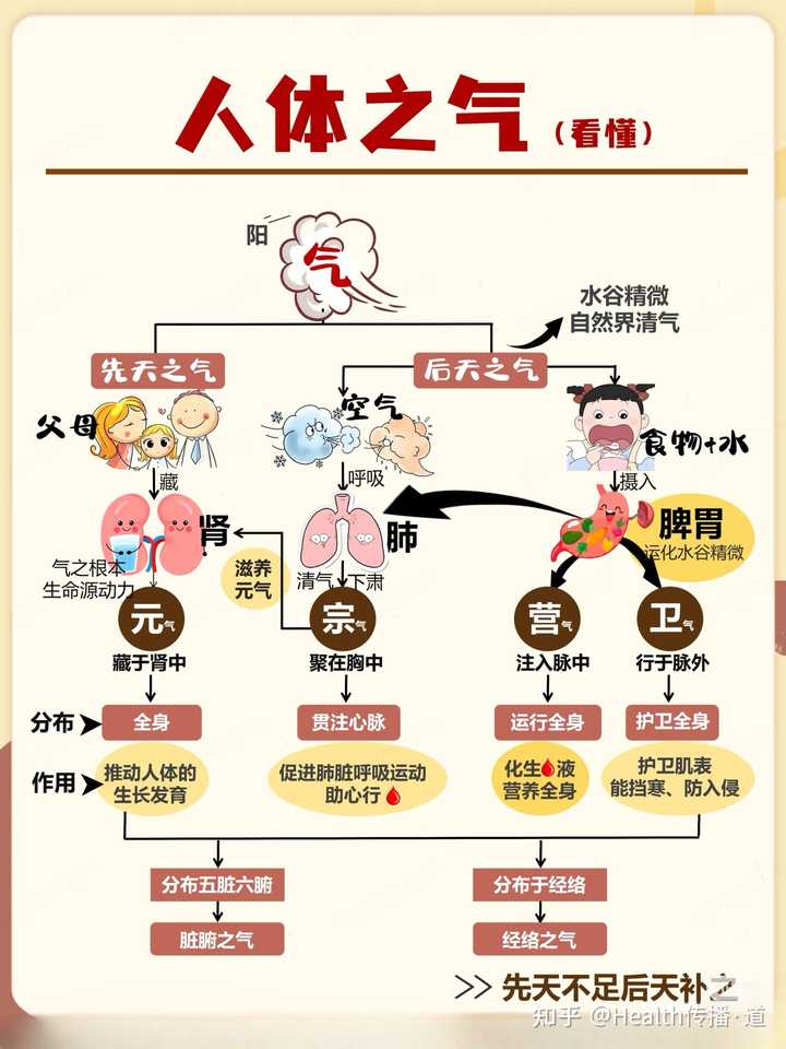 中医理论中的「气血不足」如何理解?现代医学对其有何解释或对应症状? - 知乎