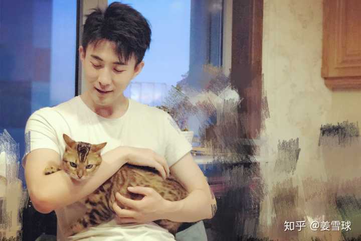 抱起猫的正确姿势是怎样? - 知乎