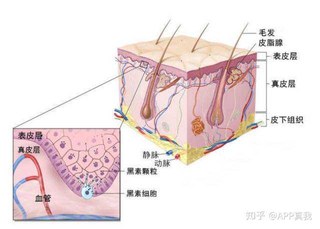 痘印的解决方法_痘印的烦恼_痘印心得经验