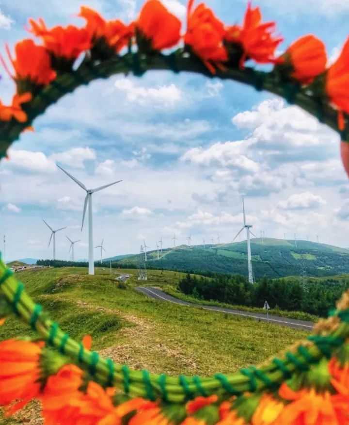 雾灵山国家森林公园门票_雾灵山山顶住宿电话_雾灵山森林公园