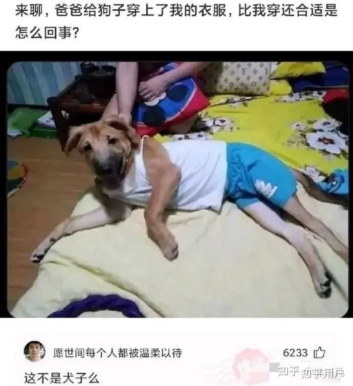 有哪些够你笑一辈子的沙雕图片？ - 知乎