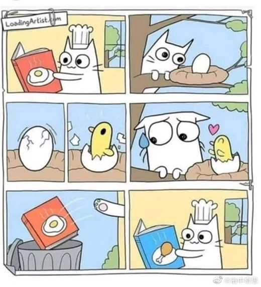 有哪些有趣的互联网MEME图/梗图/迷因图? - 知乎