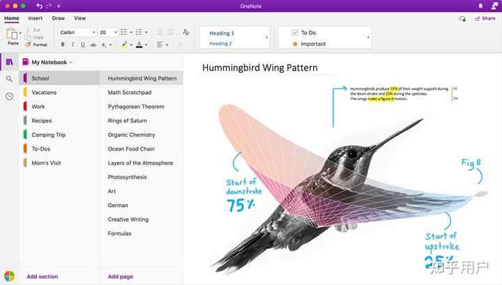 Onenote 5x Why 功能这么多,这是OneNote的哪个版本? - 知乎