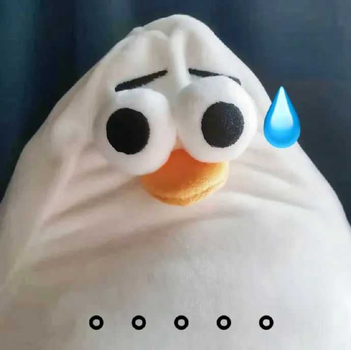 诸位大佬仰头海鸥表情包有吗