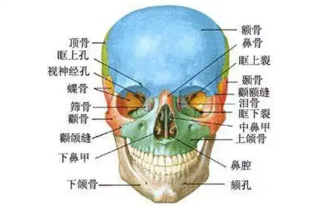 颧骨内推是怎样一种手术? - 知乎